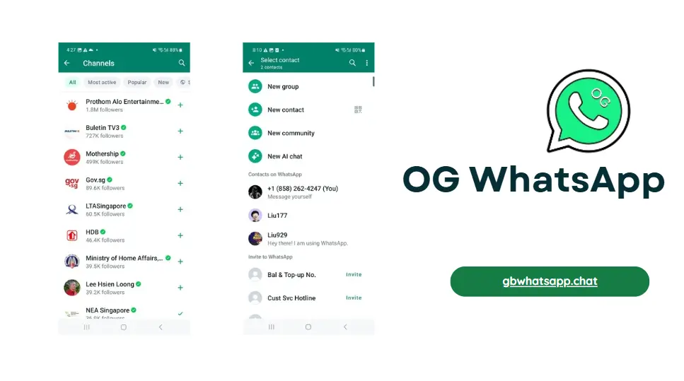 og whatsapp